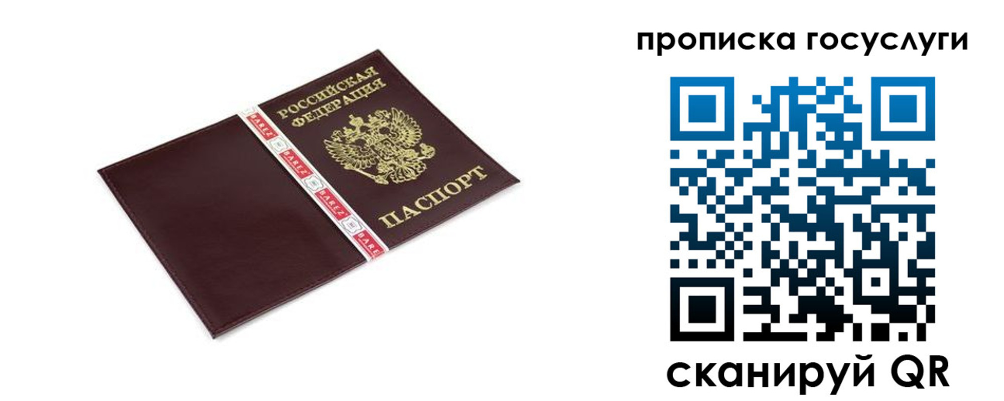 временная регистрация госуслуги в Мурино